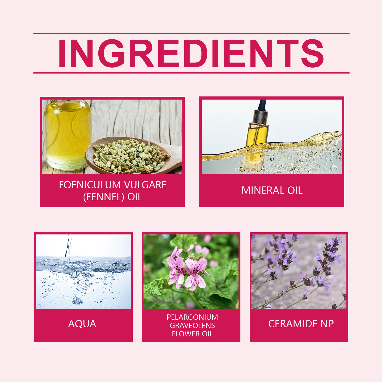 Chest & Neck Cream – Lift & Hydrate