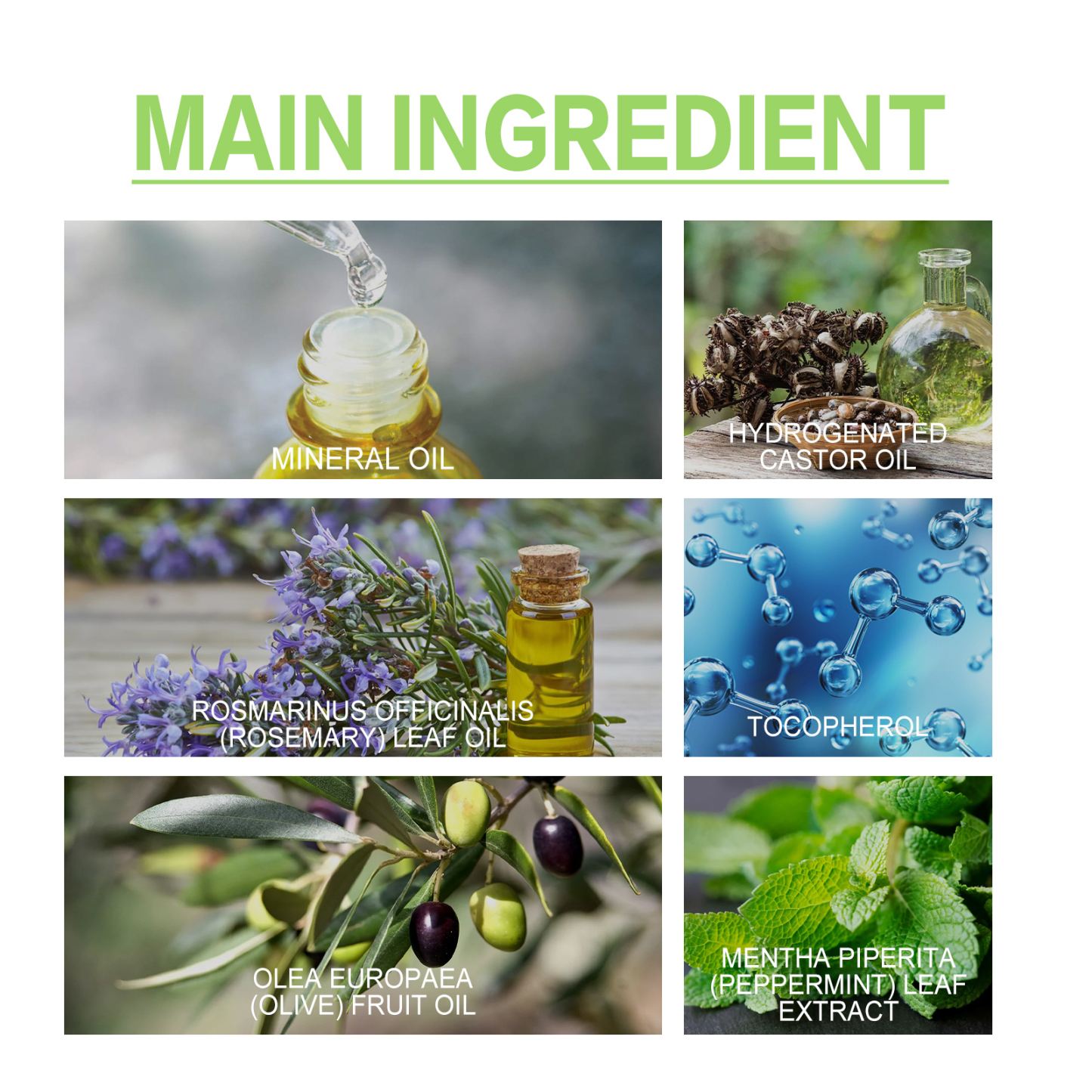 Rosemary Hair Oil – Anti-Frizz Repair & Long-Lasting Fragrance