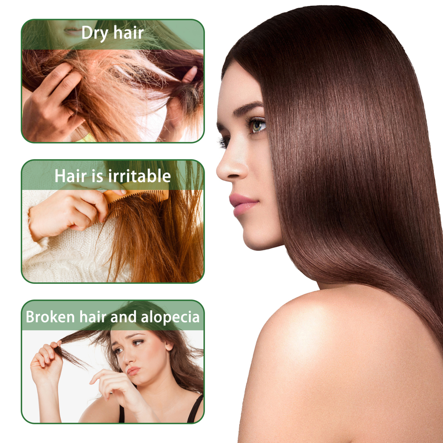Rosemary Shampoo – Oil Control & Volumizing