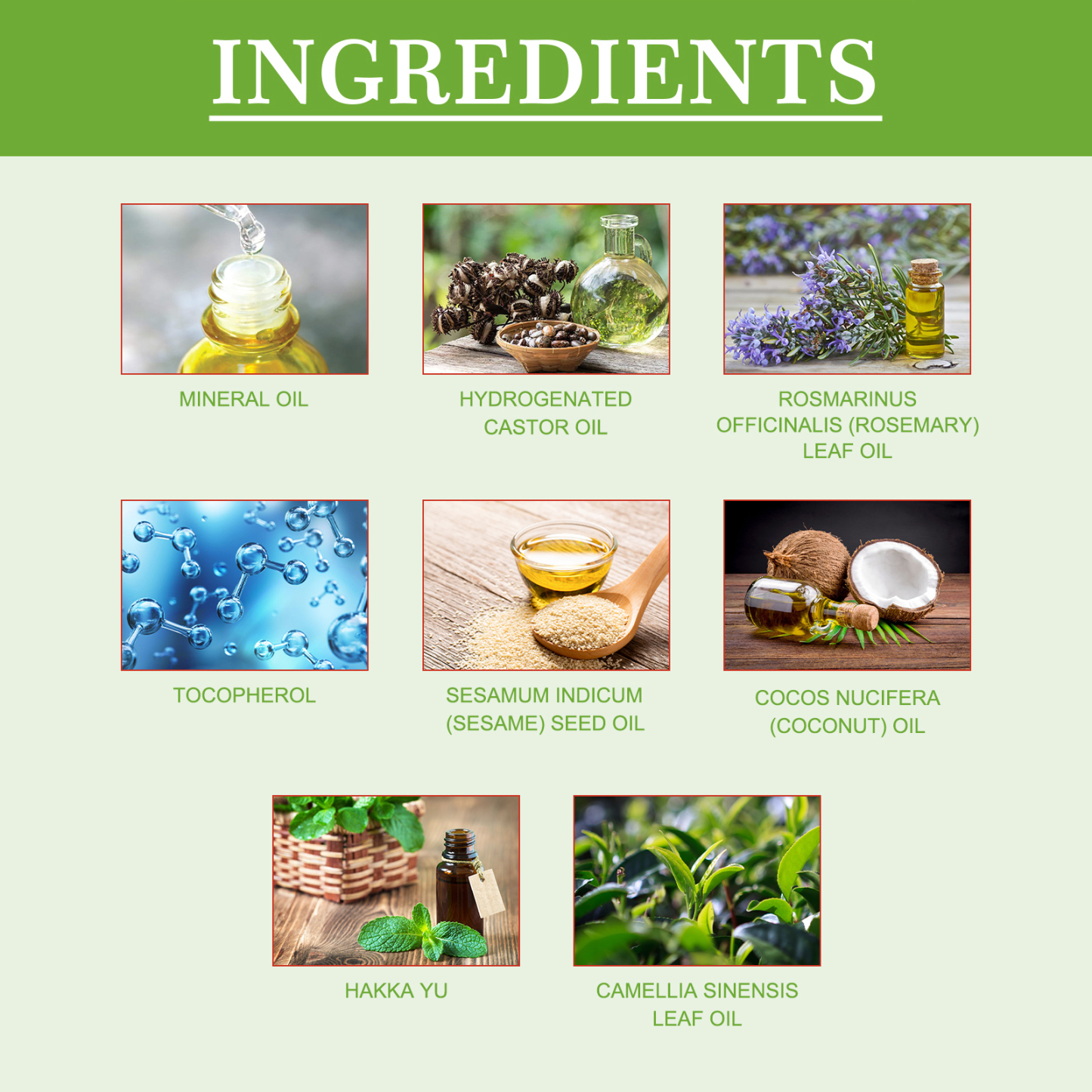 Rosemary Hair Oil – Grow & Strengthen