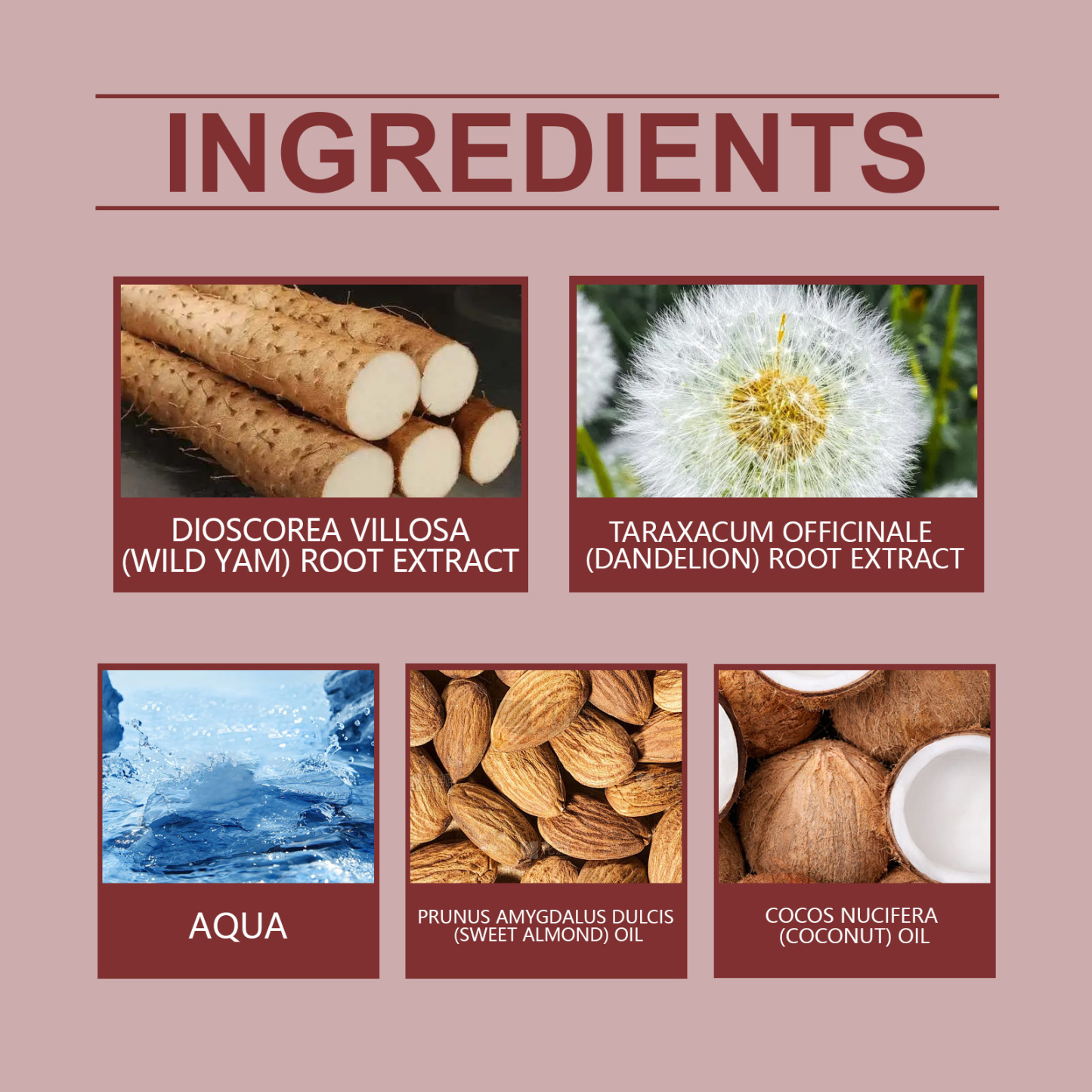 Wild Yam Cream – Soothe Cramps & Hydrate Skin