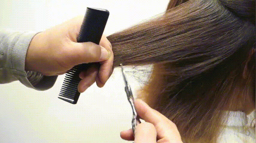 1692949391382446.gif
