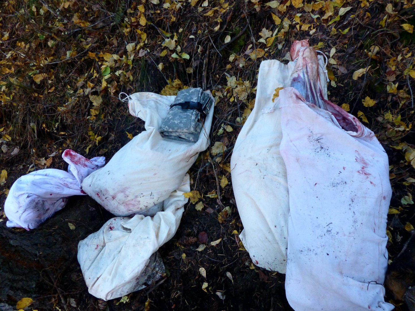 💥Reducere pe timp limitat 💥Geantă pliabilă pentru carcasă de animale tactică de camuflaj digital