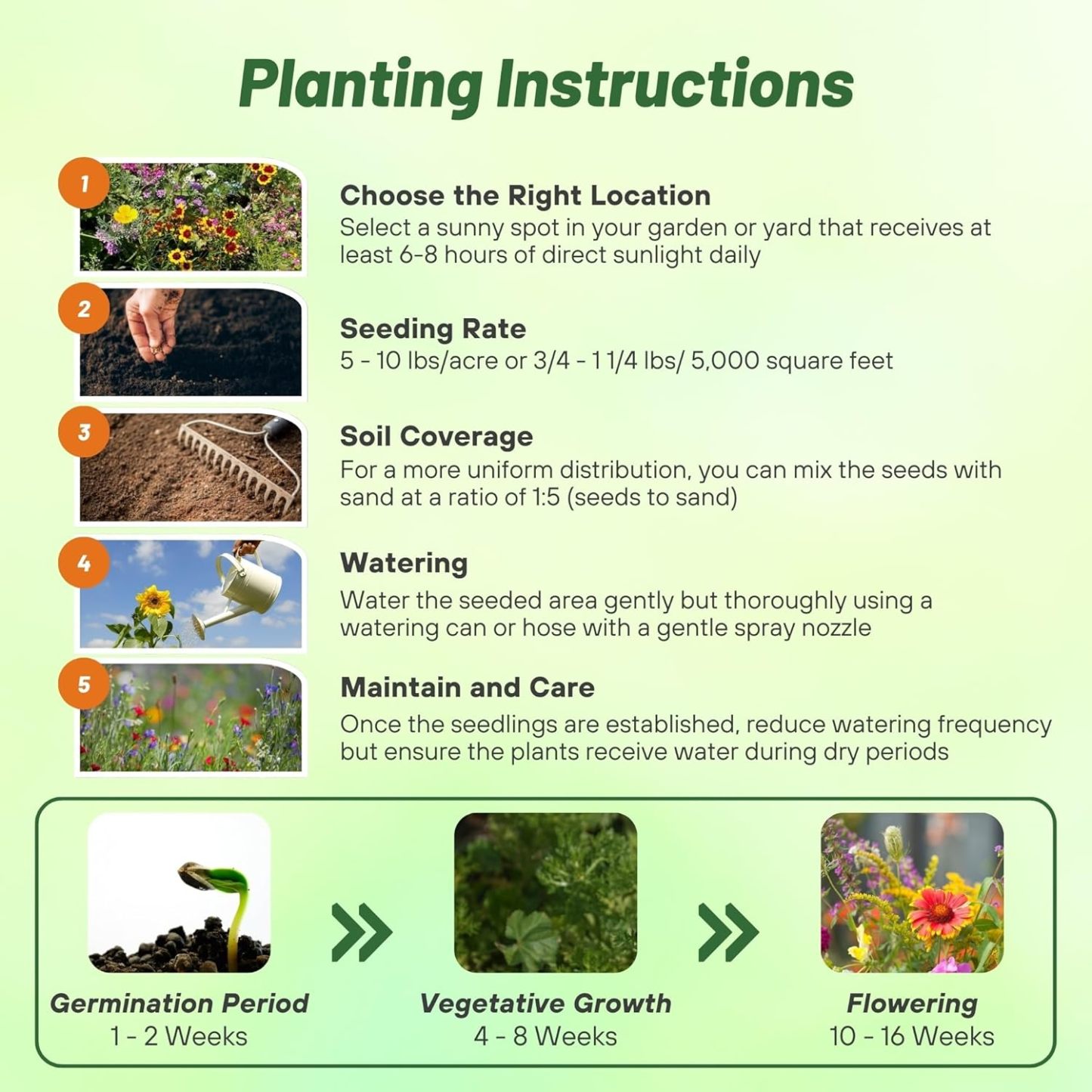 🔥 Ultima zi de reduceri💝 Semințe de flori perene amestecate - Peste 60 de tipuri amestecate