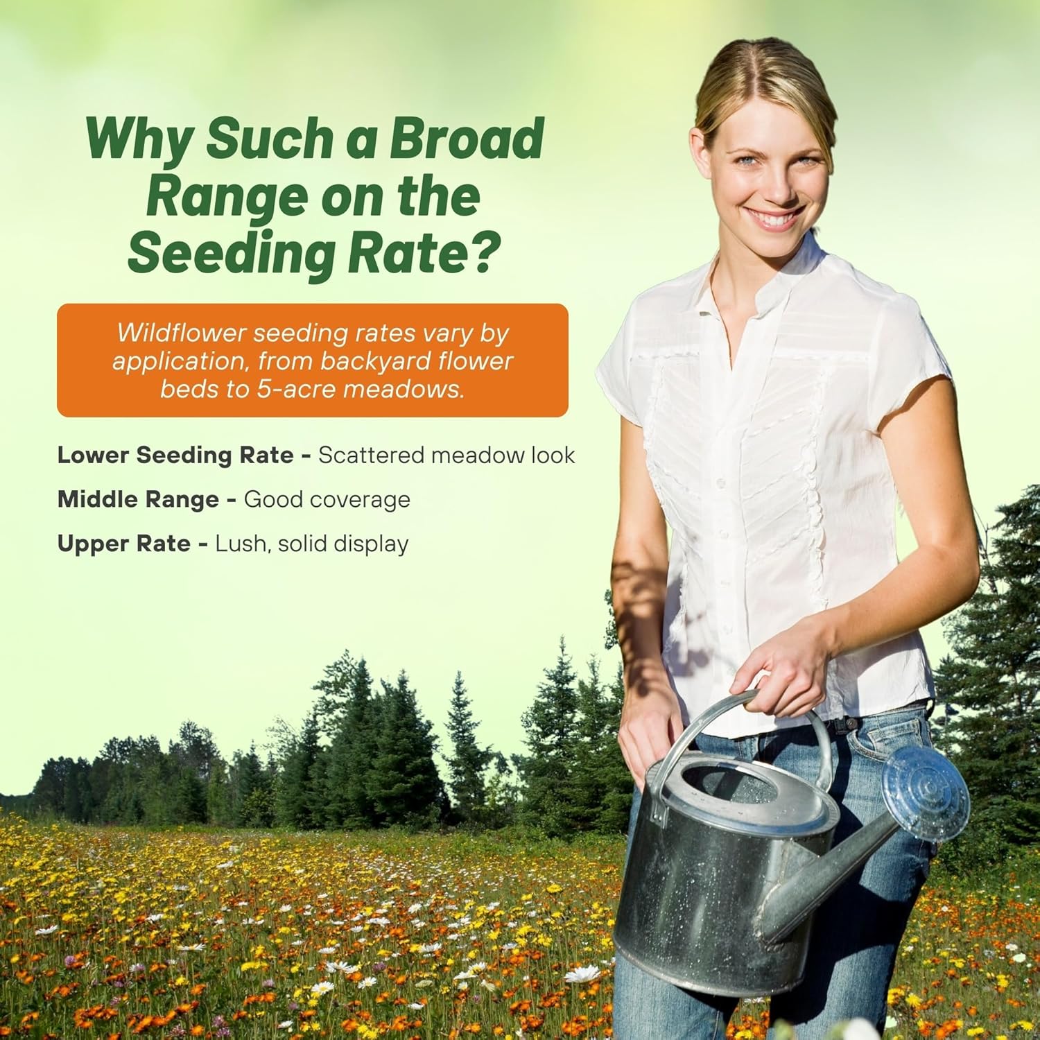 🔥 Ultima zi de reduceri💝 Semințe de flori perene amestecate - Peste 60 de tipuri amestecate