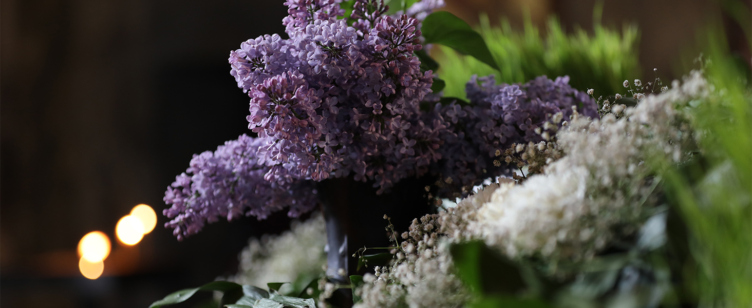 Maximum Aperture of f/2.8
