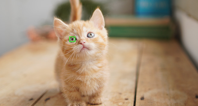 eye AF