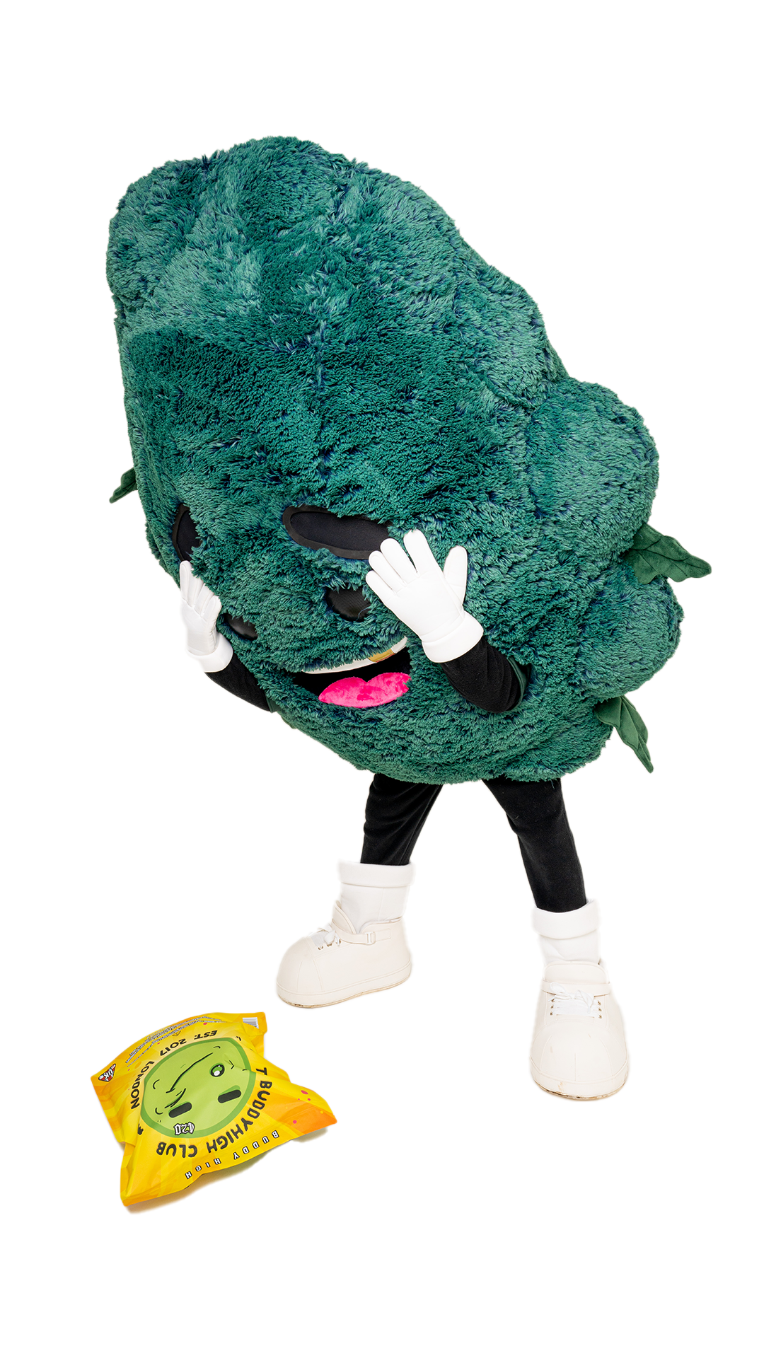 Buddy High - Terpene Infused Plush Toy