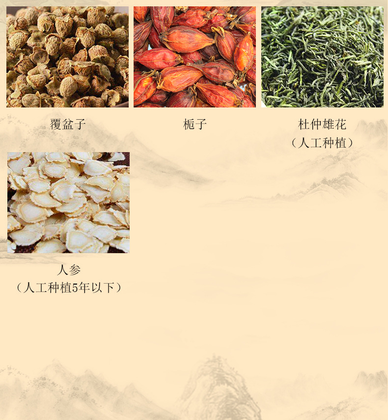 金枪灵丹十宝茶 (5).jpg