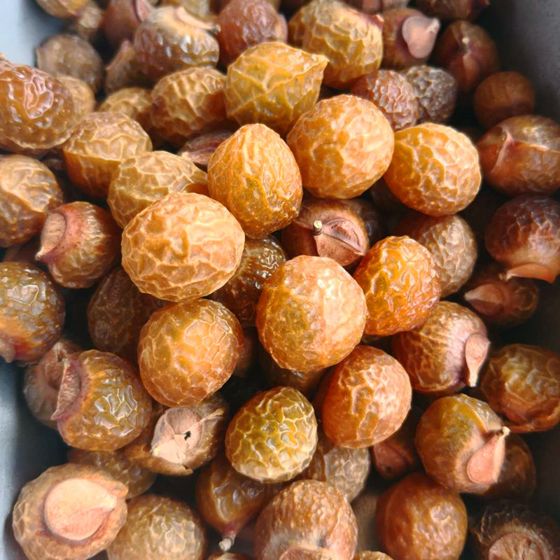 hmqViviiyNSAyin7Wuaet7l74SIZxPG5hndl