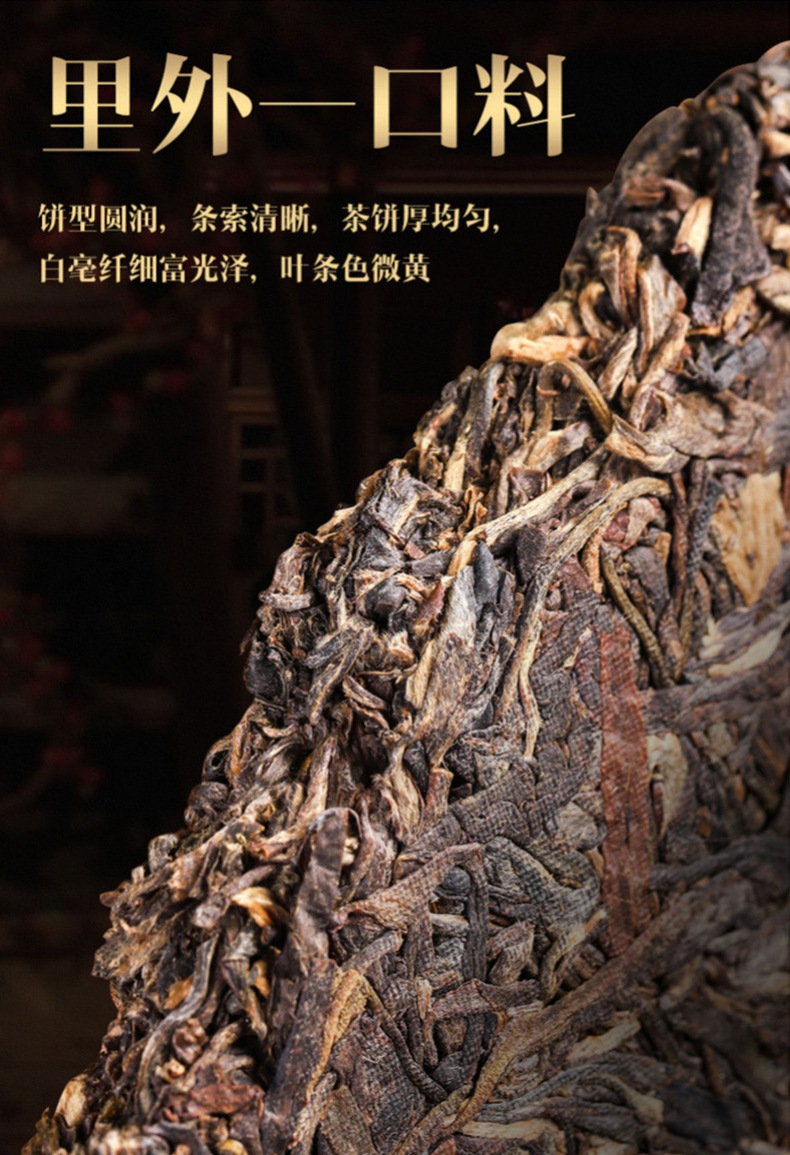 布朗_04.jpg