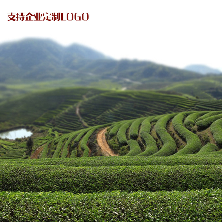 15462216121_537469611