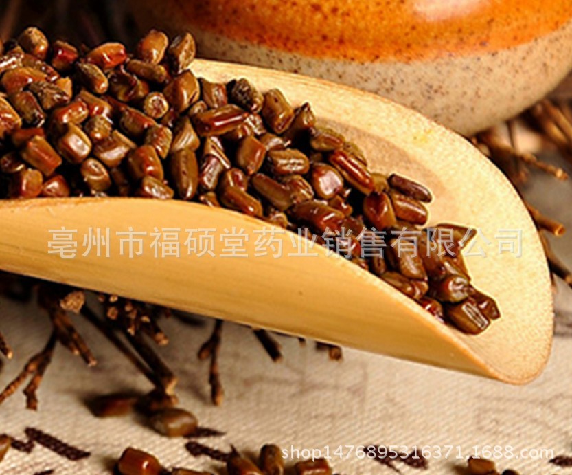 决明子3