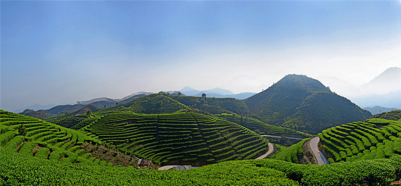 01be8856f6b6966ac7257948d0b527