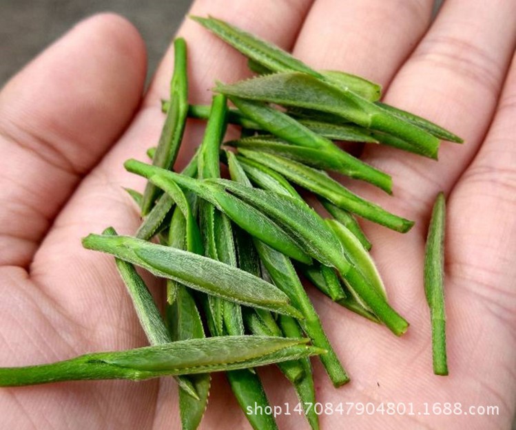 gGqUif2gxdSGFui55Mgc1LJ2IBeC1OUYEwA8