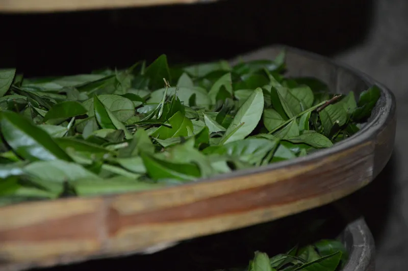 500g High Mountain Anxi Tieguanyin Tea China Oolong China Fujian Tie Guan Yin Tea Tikuanyin Health Tea 64 SMALL Bags