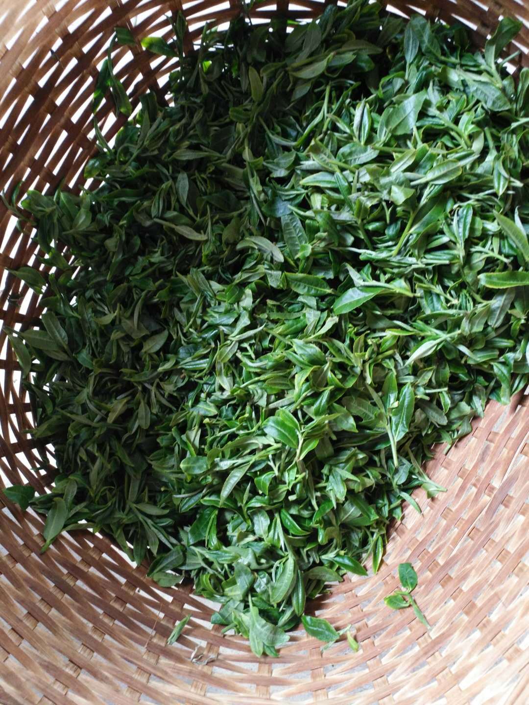 微信图片_20180425231210