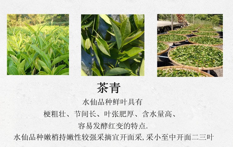 hmqViviiyNSAyin7WuaTt3JZZ8hFXp9XvJFk