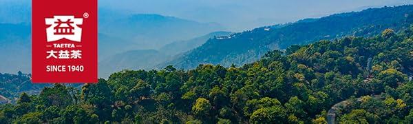 Puerh Tea Detox Tea Bags Loogse Weight