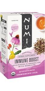 immune boost echinacea tea