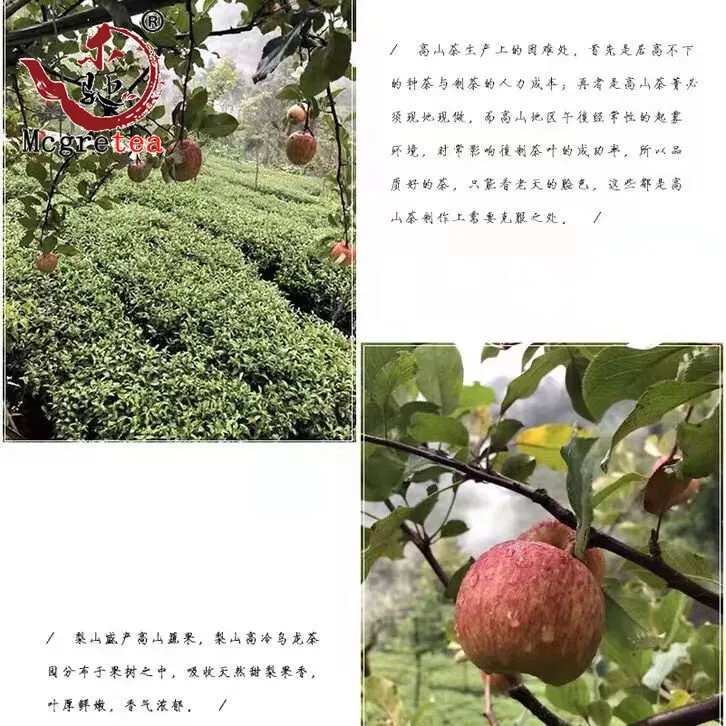 Mcgretea 300g 2022 New Fresh Taiwanese Oolong Tea Alishan Good Quality Wu Long Cha