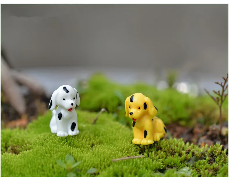 2968838216_393786582