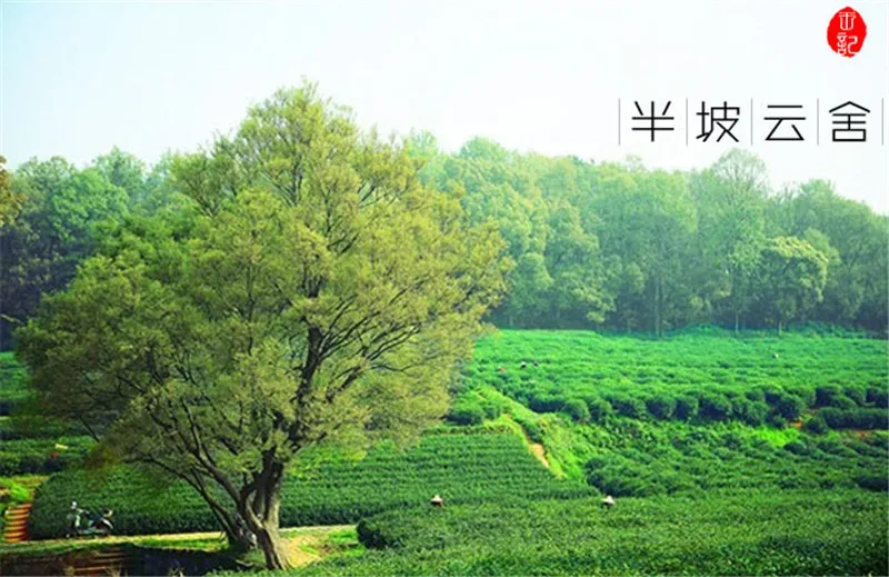  250g Dragon Well Chinese Longjing green tea the chinese green tea Long jing the China green tea for man and women health care 