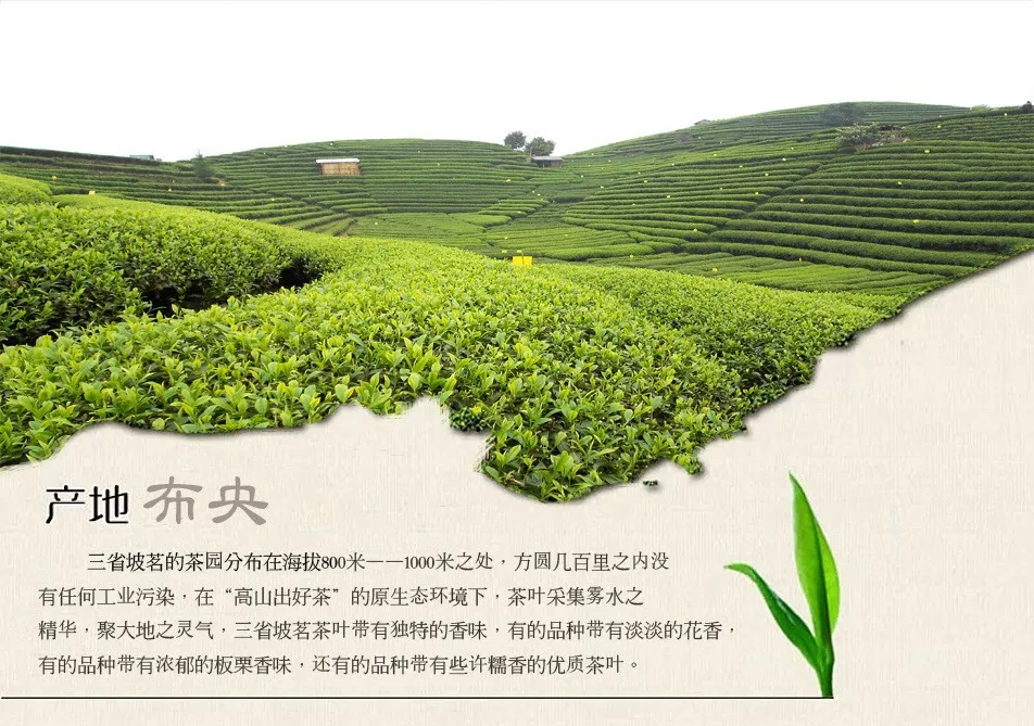  C-HC040 Wholesale China's Top Tea 250g Wuyishan Paulownia off Jinjunmei black tea Top Red Tea Bulk 