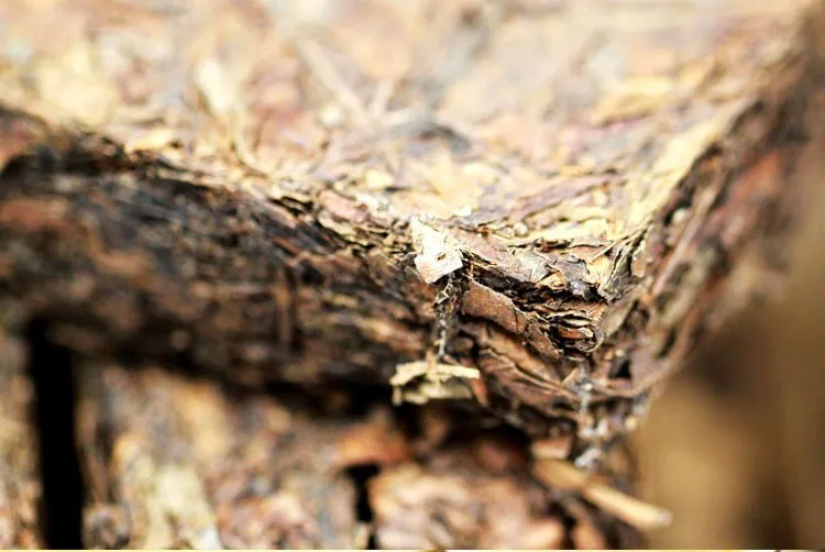  promotion ! Hot Sale Made in 1970 raw Puer Tea , 250 olde Pu Er tea , Agilawood tambac,Smooth Pu erh Tea,Ancient tree 