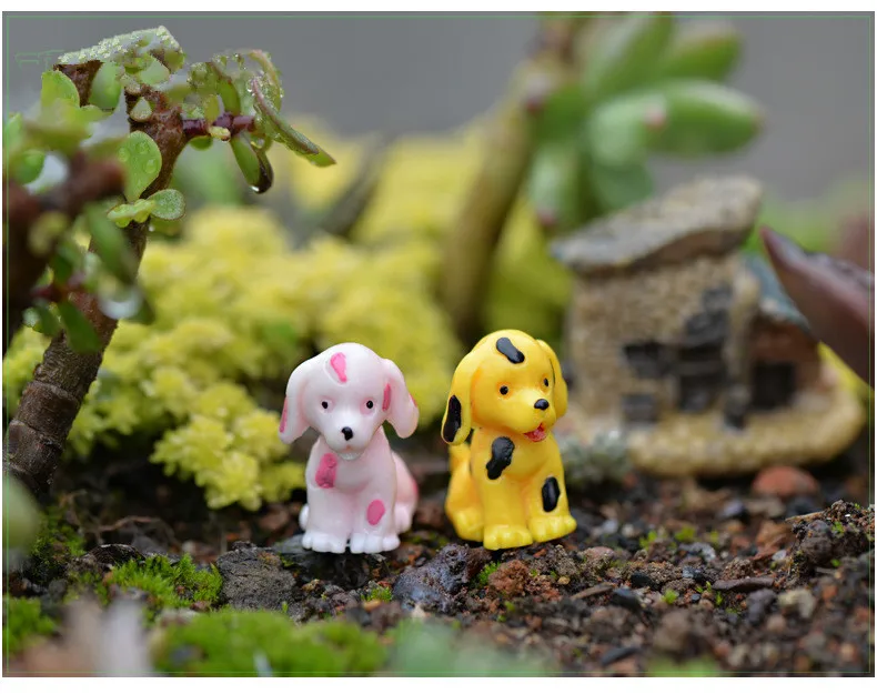 2968841159_393786582