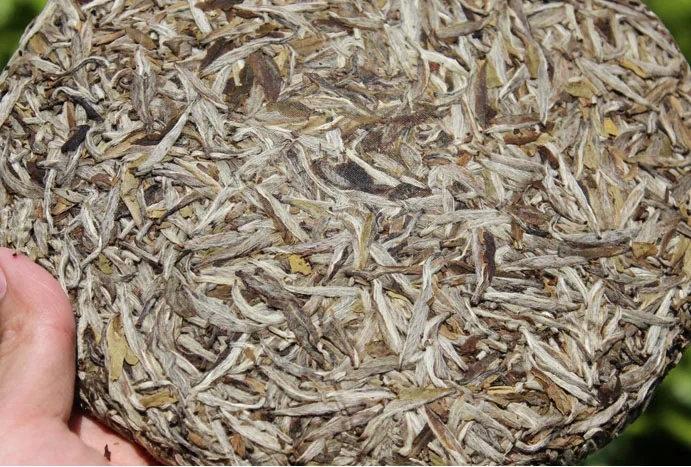 TB25wxsuXXXXXaFXXXXXXXXXXXX_!!2786627824