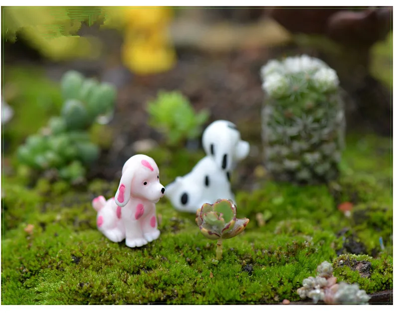 2968835214_393786582