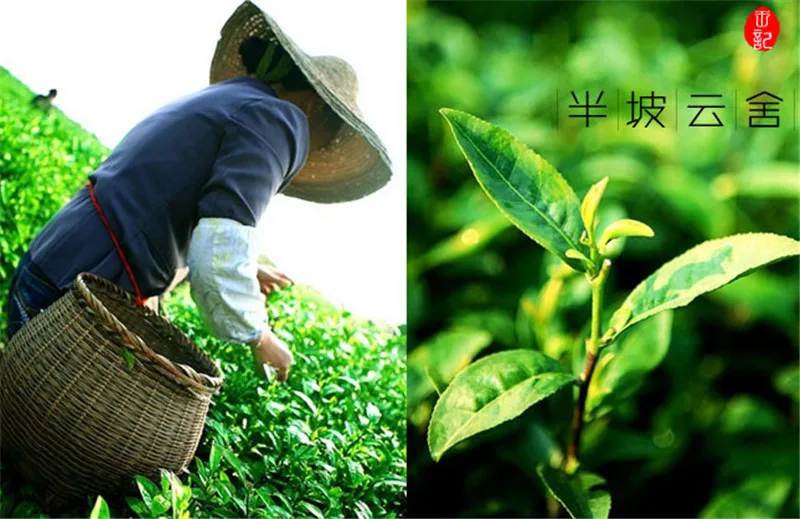  250g Dragon Well Chinese Longjing green tea the chinese green tea Long jing the China green tea for man and women health care 