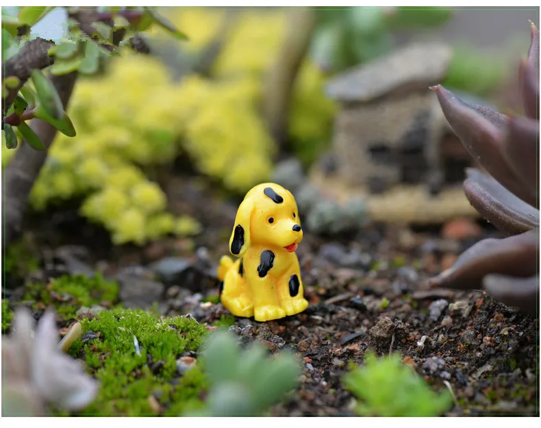 2968832400_393786582