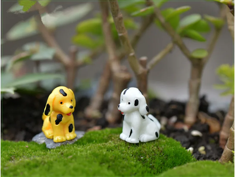 2967604369_393786582