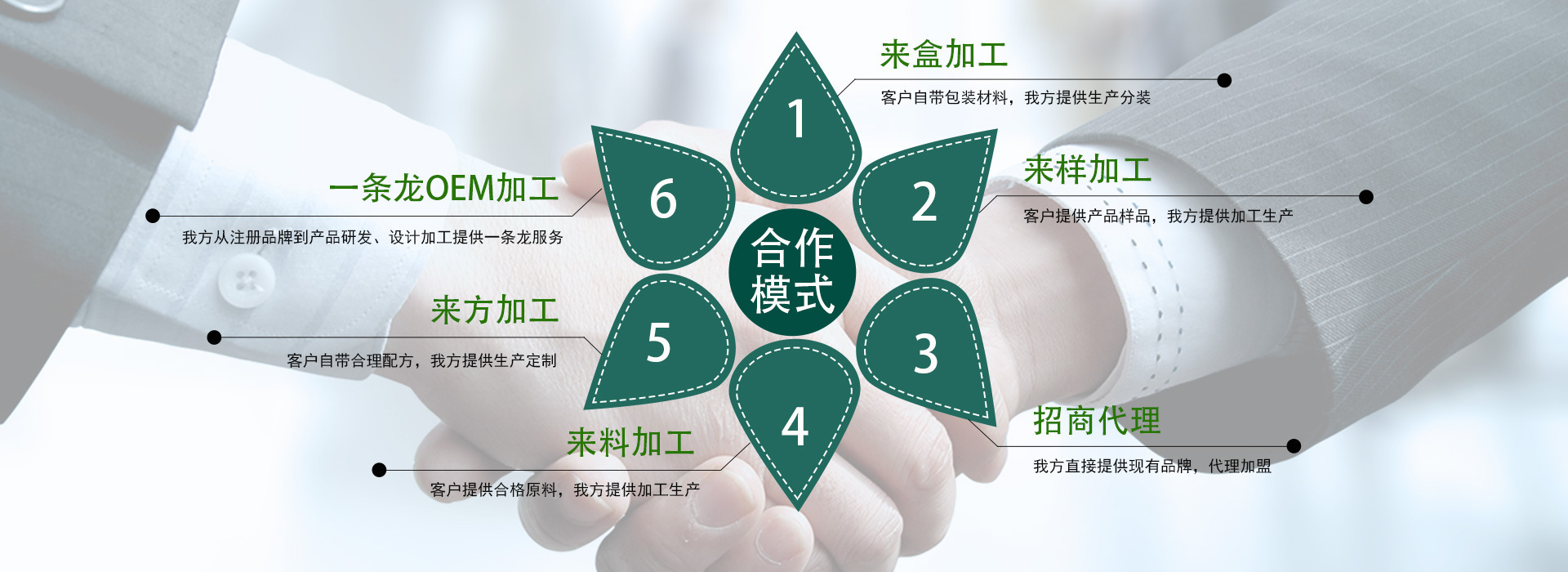 中文OEM图