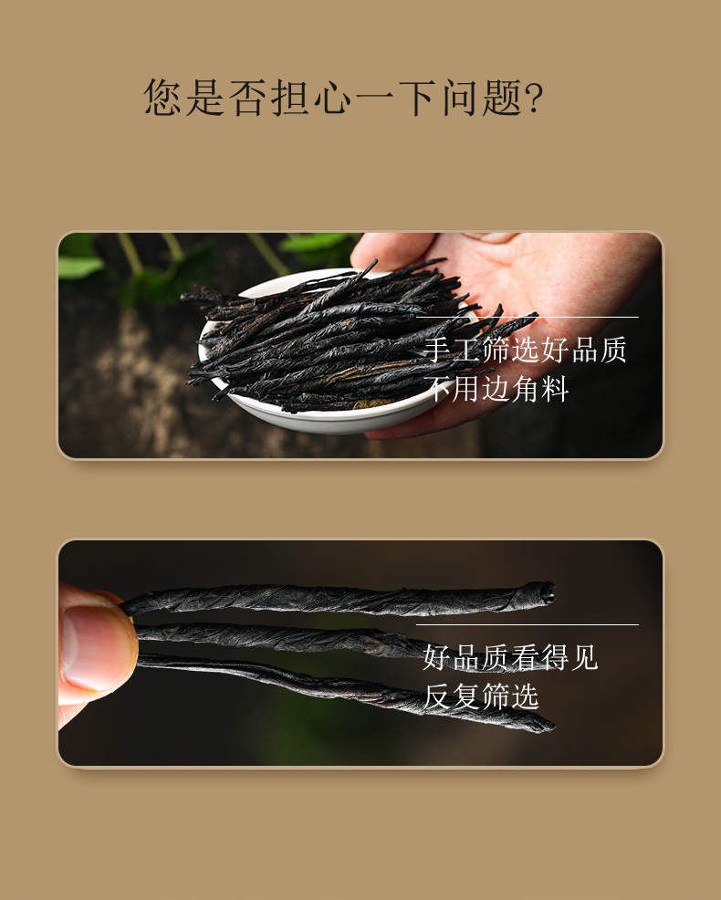 苦丁茶_03.jpg