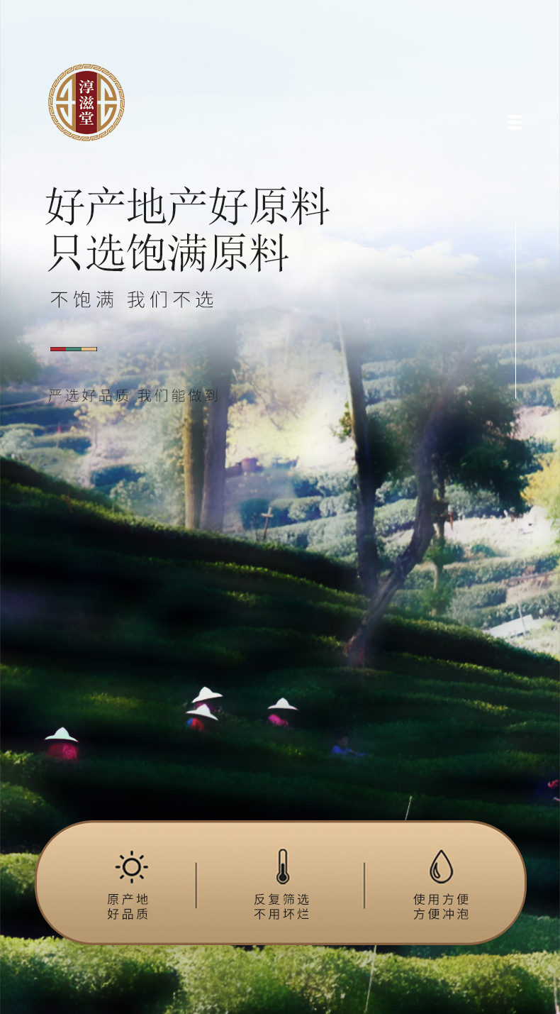 苦丁茶_05.jpg