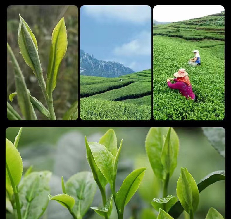 微信图片_202209050958082