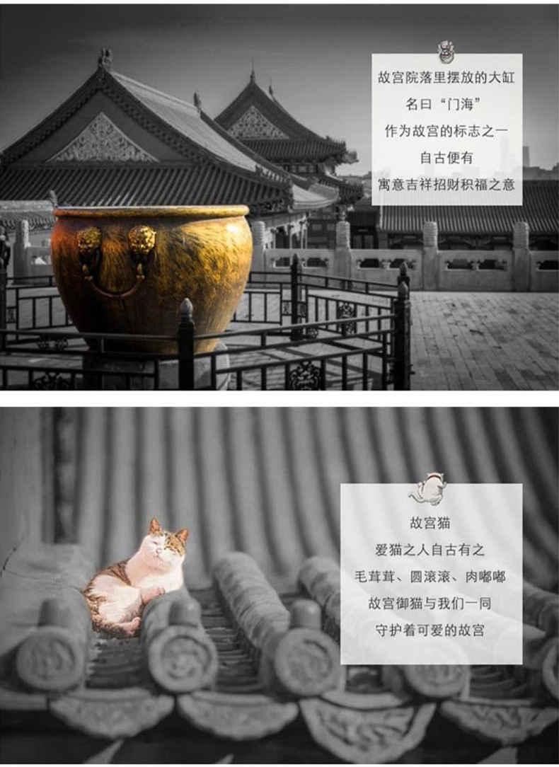 Menhai Imperial Cat_04.jpg