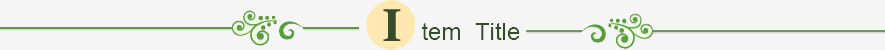 item title