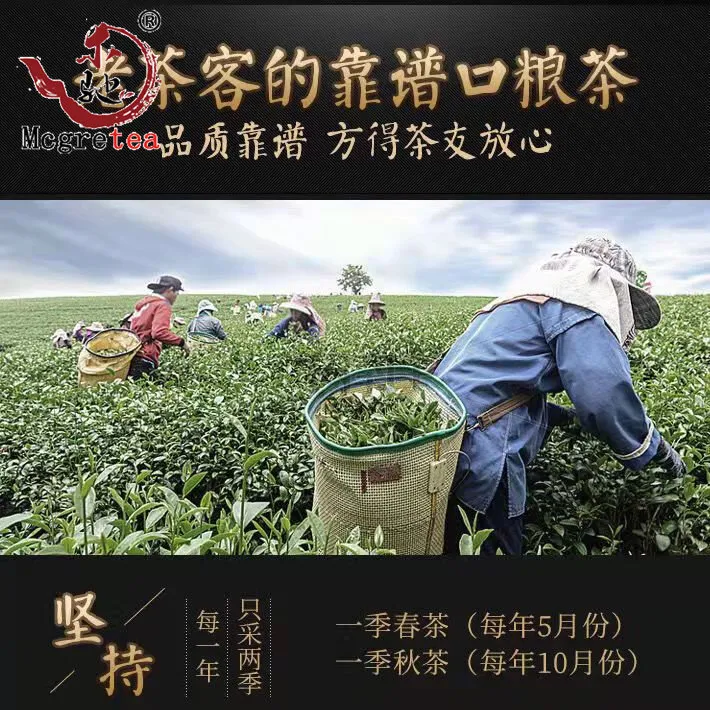Mcgretea 300g 2022 New Fresh Taiwanese Oolong Tea Alishan Good Quality Wu Long Cha