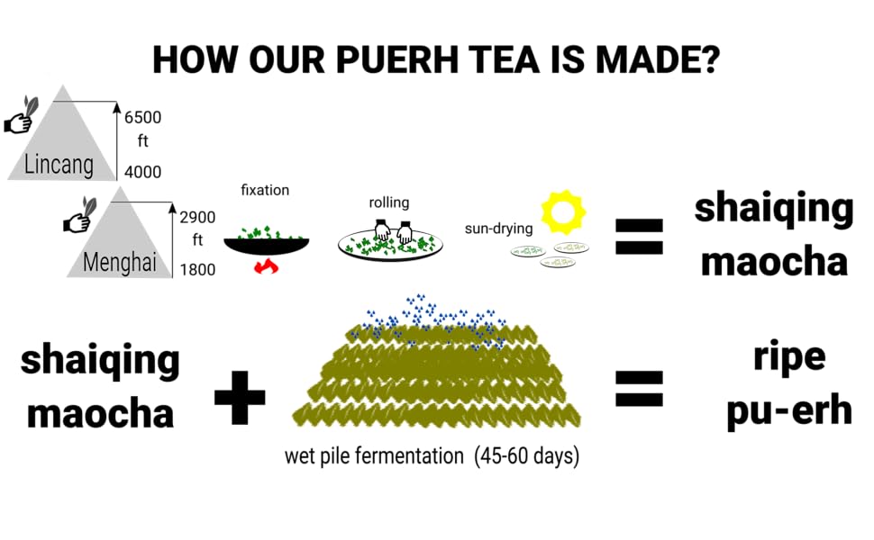 ripe pu-erh tea process