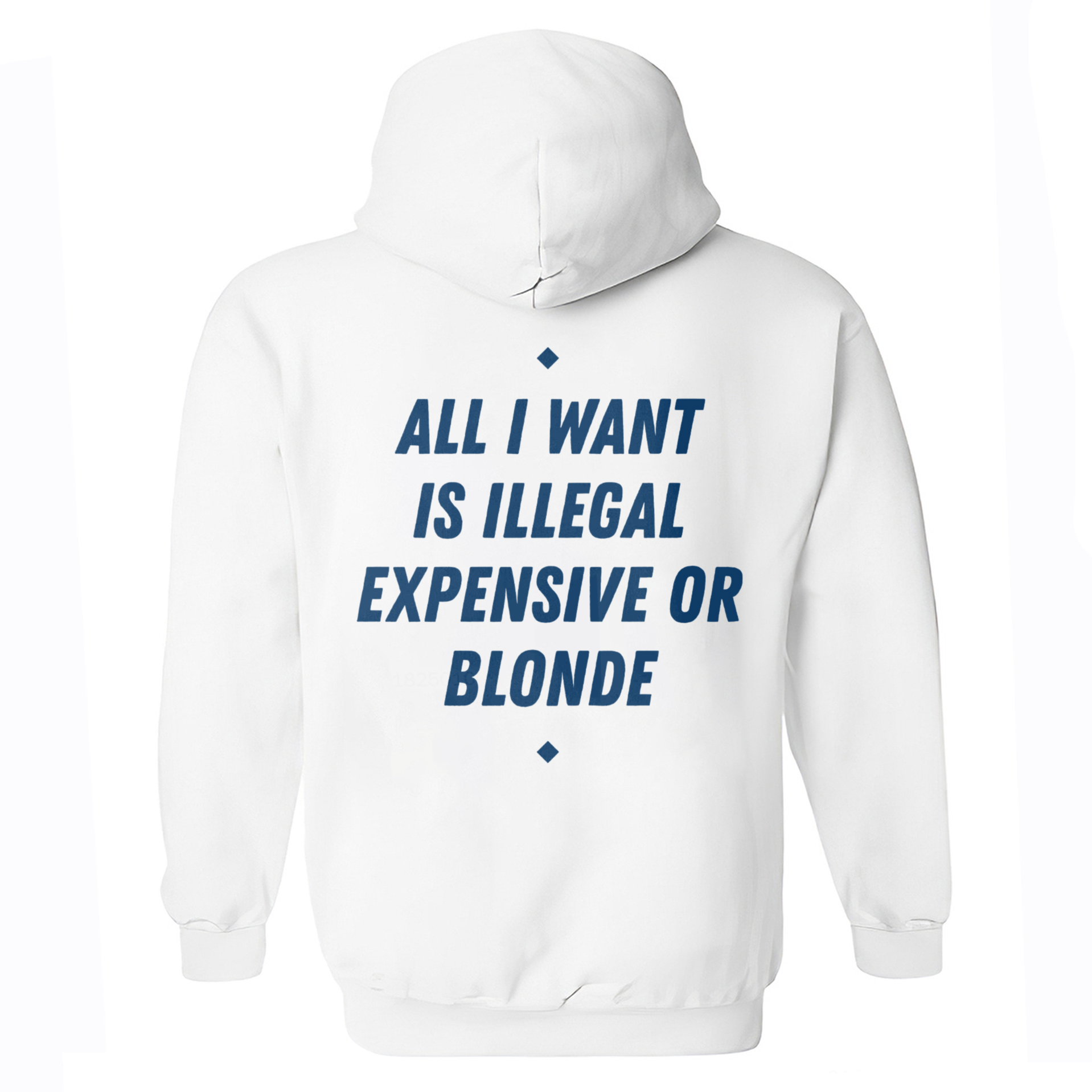All I Want Is Illegal Expensive Or Blonde Printed Fleece-lined Unisex Hoodie Image - 4