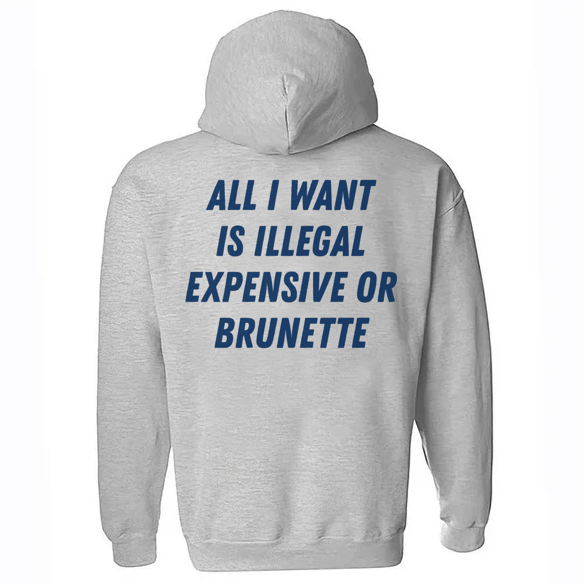 All I Want Is Illegal Expensive Or Brunette Printed Fleece-lined Unisex Hoodie