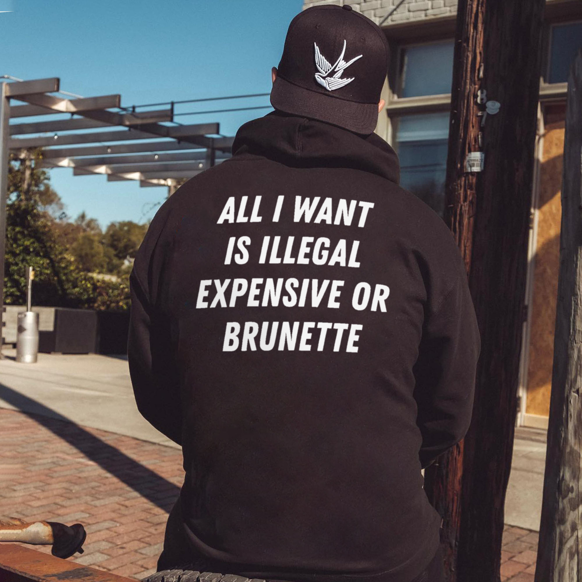 All I Want Is Illegal Expensive Or Brunette Printed Fleece-lined Unisex Hoodie