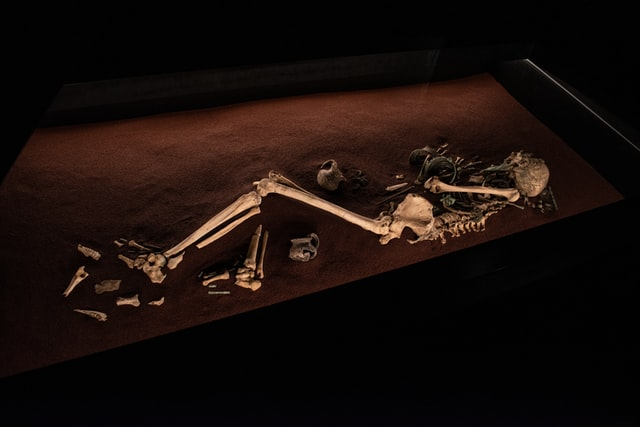 Bet You Didn't Know: Unexpected Meanings Of Skull Tattoos-Ranbybox