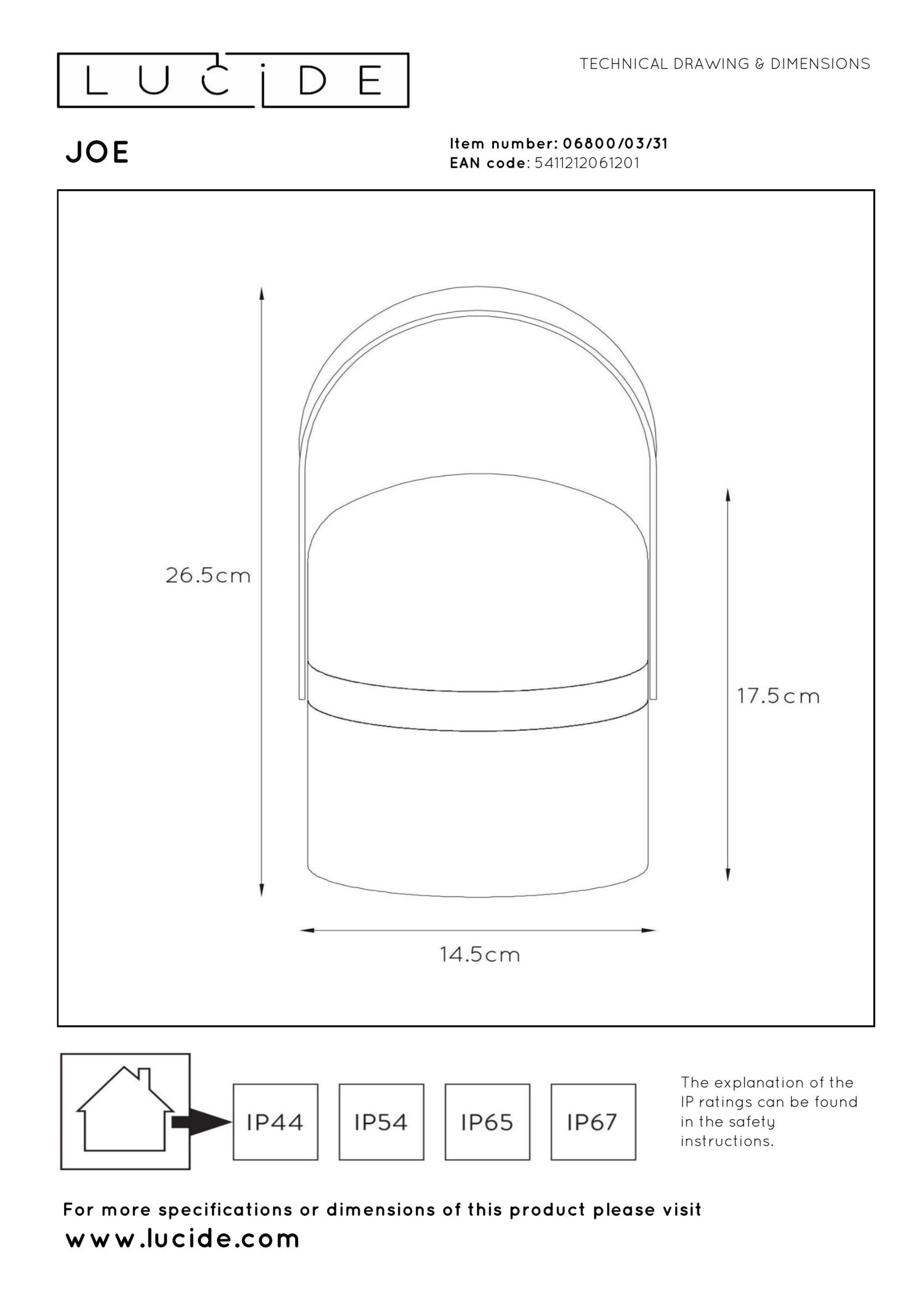 Joe Outdoor Lights - Light Wood/Opal