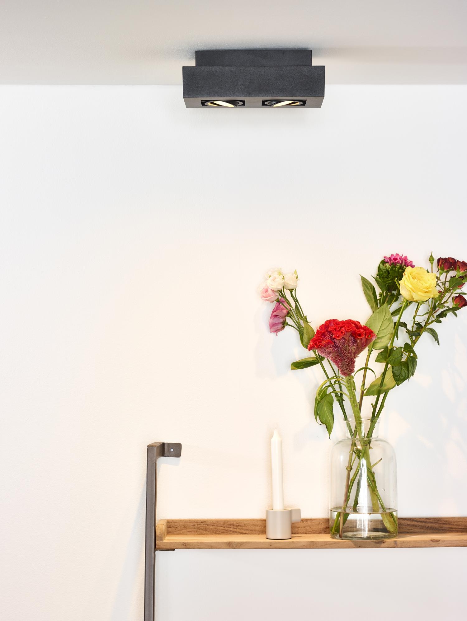 Xirax Ceiling Lights - Matt Black