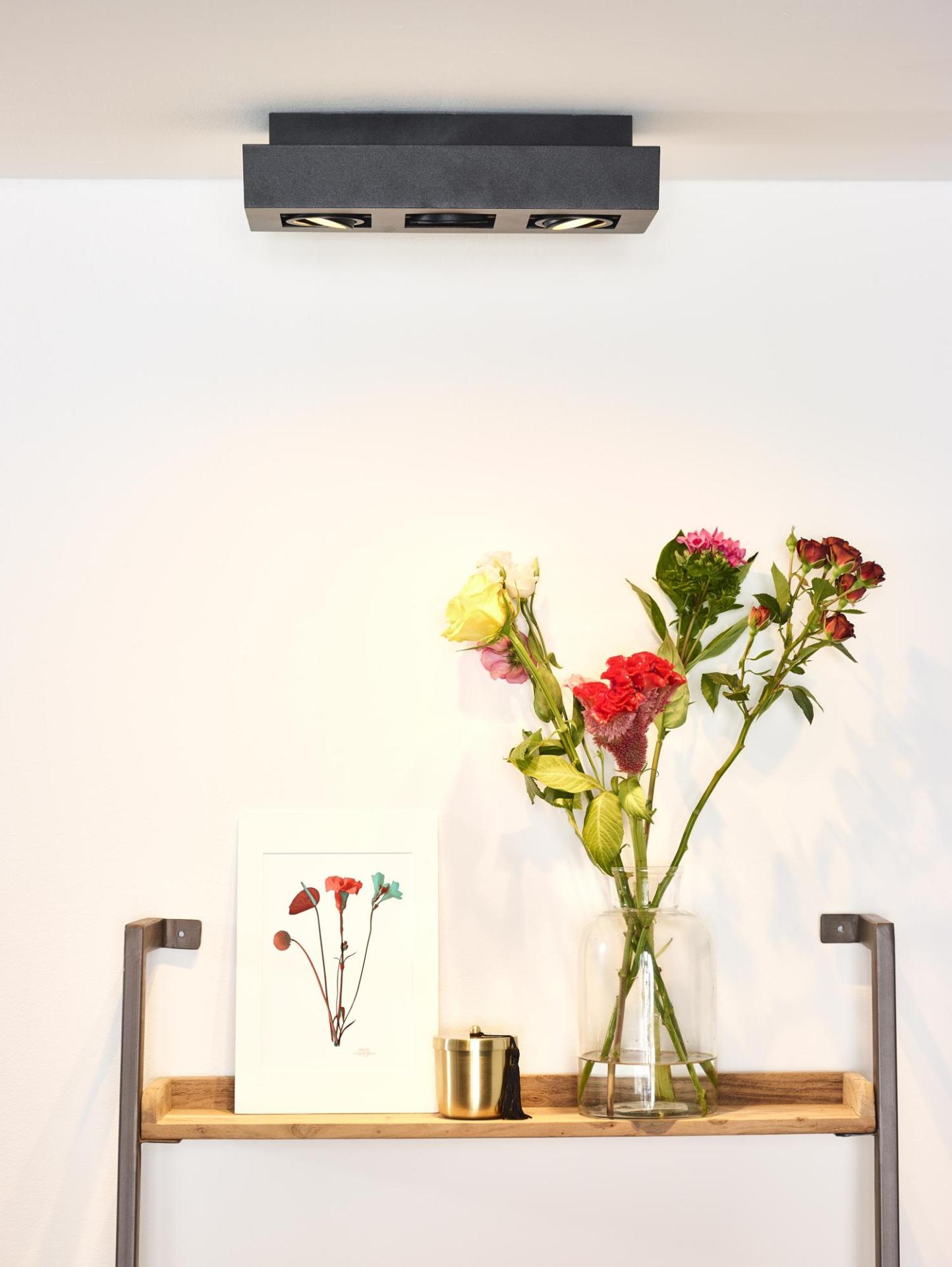 Xirax Ceiling Lights - Matt Black